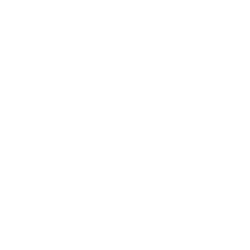 Dahua Technology